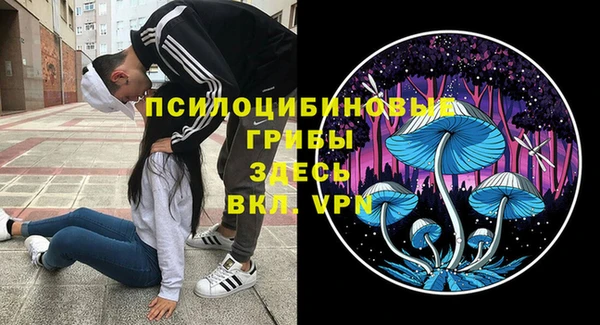 а пвп мука Болотное