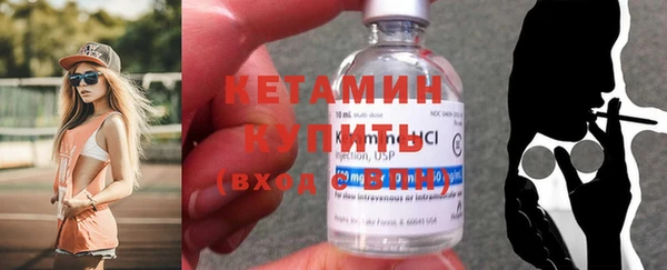 прущие грибы Пересвет