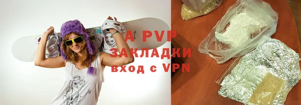 прущие грибы Пересвет
