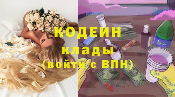 прущие грибы Пересвет