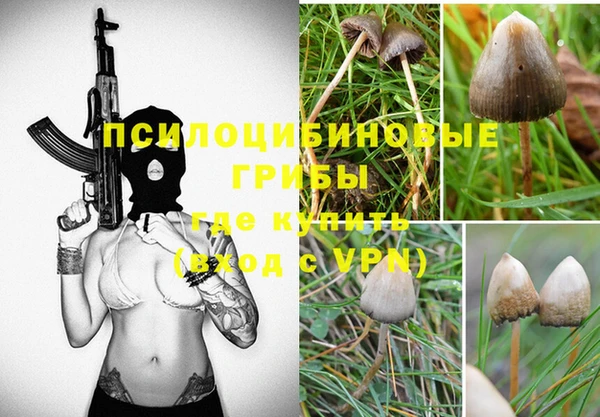 таблы Пестово