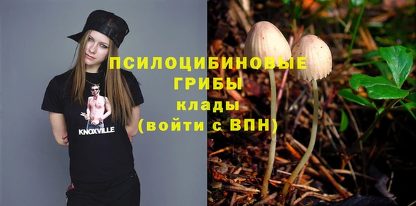 прущие грибы Пересвет