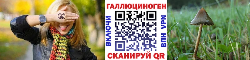 гидра ССЫЛКА  Бежецк  Галлюциногенные грибы Psilocybine cubensis  хочу  